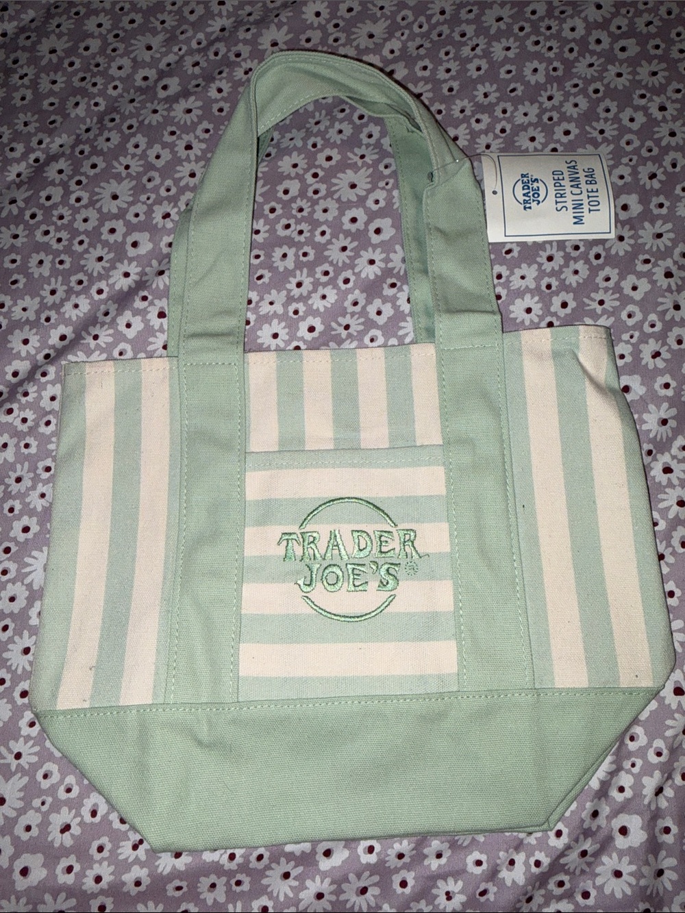 Trader Joe's Mini Canvas Tote Bag  Green & Cream Striped